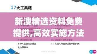 新澳精选资料免费提供,高效实施方法分析_模拟版18.684