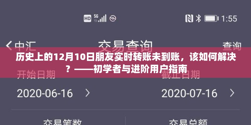 12月10日朋友转账未到账怎么办？初学者与进阶用户解决指南