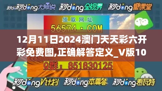 2024年12月11日 第19页