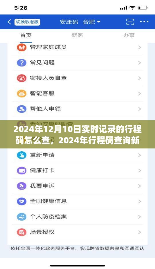 2024年行程码实时记录查询新指南，操作详解与实时功能体验