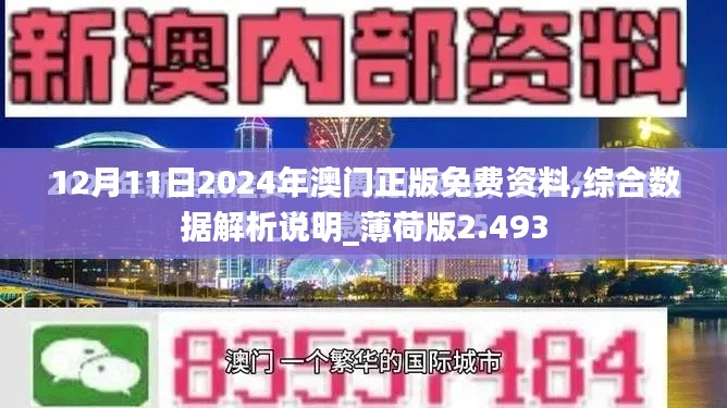 12月11日2024年澳门正版免费资料,综合数据解析说明_薄荷版2.493