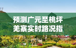 广元至桃坪羌寨实时路况预测指南，2024年12月10日出行攻略