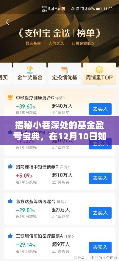 揭秘小巷深处的基金盈亏宝典，在12月10日如何轻松掌握基金实时动态
