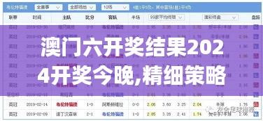 澳门六开奖结果2024开奖今晚,精细策略定义探讨_静态版14.187