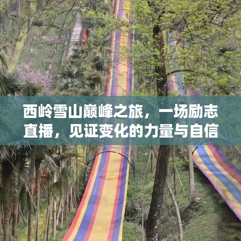 西岭雪山巅峰之旅，励志直播展现力量与自信绽放之旅