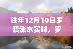 罗渡涨水日，自然探险与心灵宁静的追寻之旅