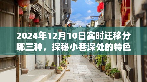 探秘实时迁移三大类型与小巷深处的特色小店，揭秘2024年迁移趋势新动向