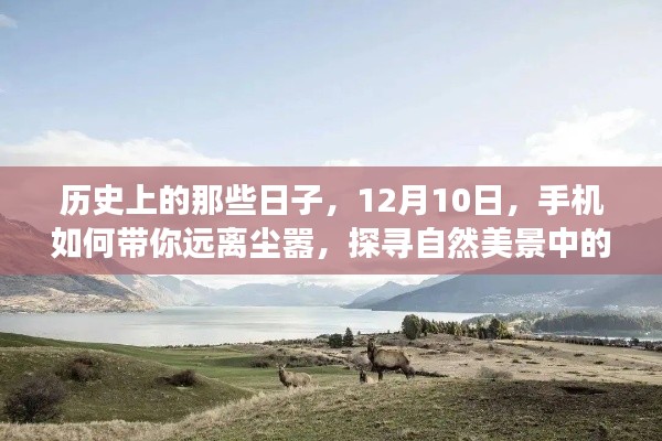 12月10日，手机导航下的心灵之旅，探寻自然美景中的内心平静