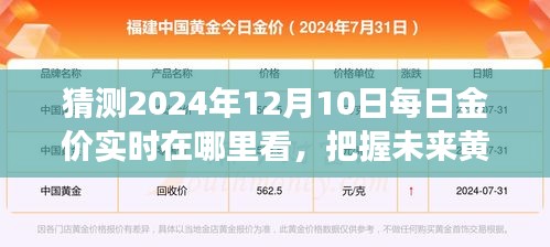 揭秘黄金市场趋势，如何预测和把握未来金价动态，黄金市场探秘等你来体验！