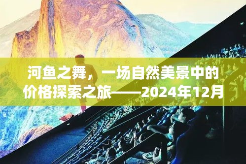 河鱼之舞，探索自然美景中的价格奇迹之旅（2024年12月10日）