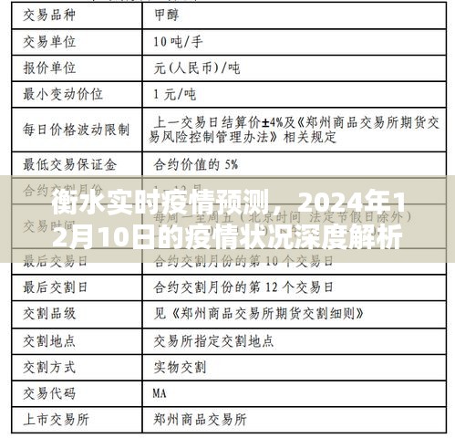 衡水疫情预测报告，深度解析至2024年12月10日的疫情状况