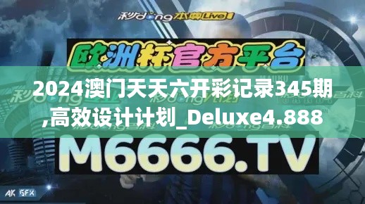 2024澳门天天六开彩记录345期,高效设计计划_Deluxe4.888