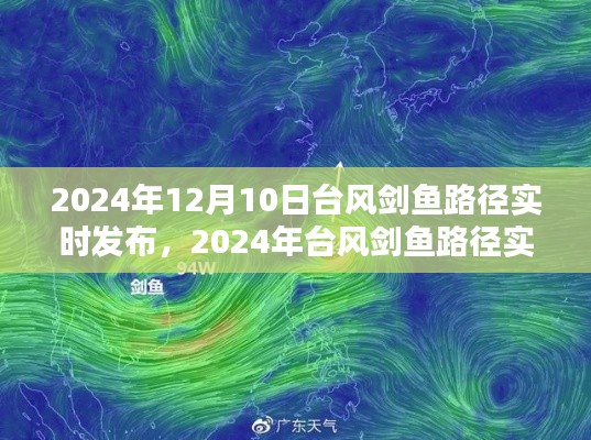 台风剑鱼路径实时发布，深度解析与前沿动态（2024年台风剑鱼最新消息）