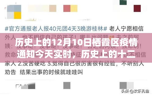 历史上的十二月十日，栖霞区疫情下的探索之旅与内心宁静的追寻