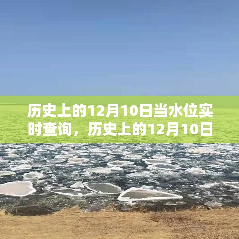 历史上的12月10日水位实时查询，全面评测与详细介绍