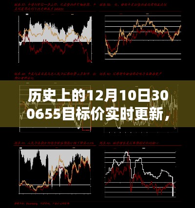 历史上的12月10日300655目标价追踪与实时更新指南