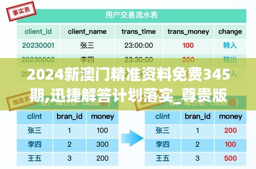 2024新澳门精准资料免费345期,迅捷解答计划落实_尊贵版5.746