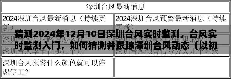 深圳台风实时监测指南，从入门到进阶，预测并跟踪台风动态（初学者与进阶用户必读，截至2024年12月10日）