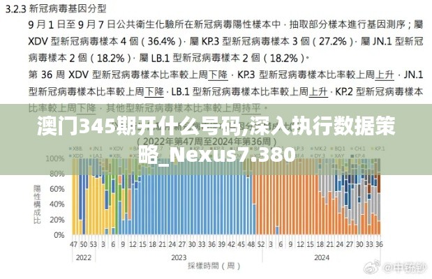 澳门345期开什么号码,深入执行数据策略_Nexus7.380