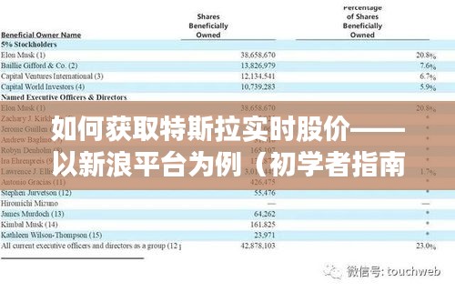 特斯拉实时股价获取指南，新浪平台初学者指南