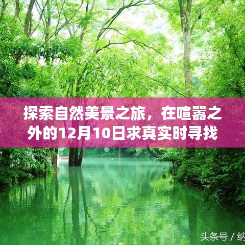 12月10日，探寻自然美景之旅，寻找内心真实的平静