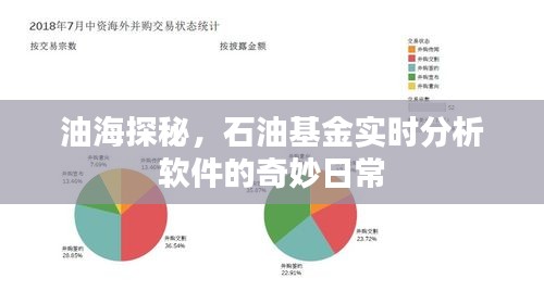 油海探秘，实时石油基金分析软件的日常揭秘