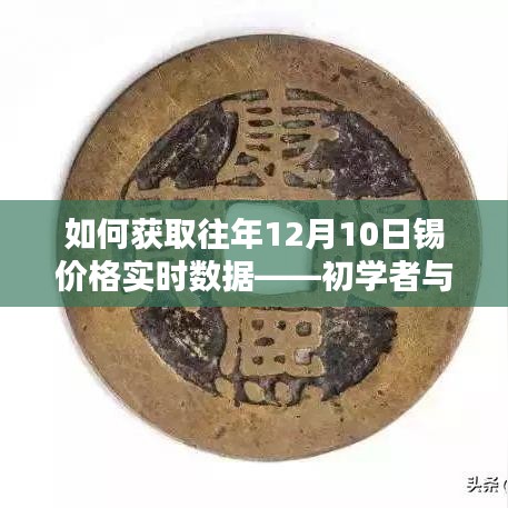 获取往年12月10日锡价格实时数据——初学者与进阶用户指南教程