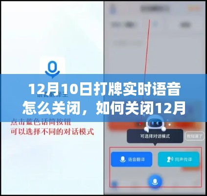 详细步骤指南，如何关闭打牌实时语音功能（适用于12月10日操作）