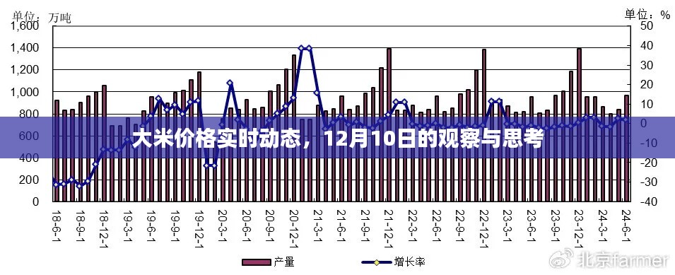 大米价格实时动态观察，12月10日的趋势与思考