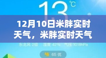 米胖实时天气查询指南，轻松获取12月10日精准天气预报