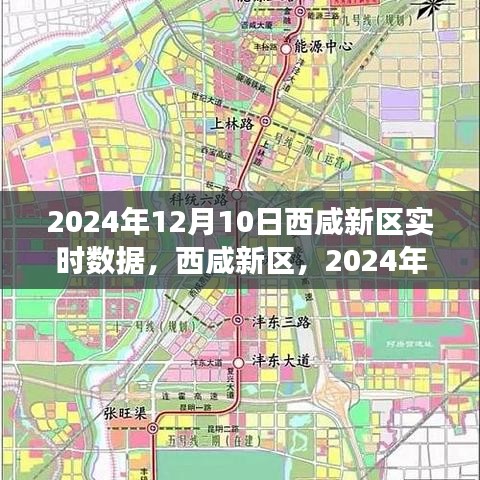 西咸新区深度洞察，2024年12月10日实时数据报告