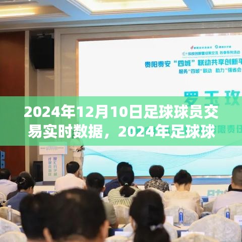 深度解读，2024年足球球员交易实时数据背后的价值走向与个人立场探析