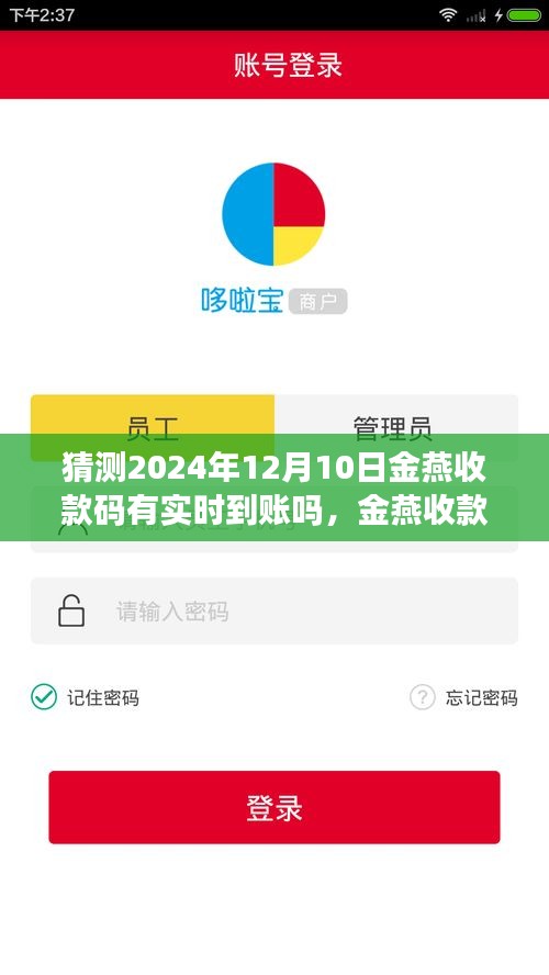 关于金燕收款码实时到账的预测，2024年12月10日的可能性分析及其收款码实时到账展望