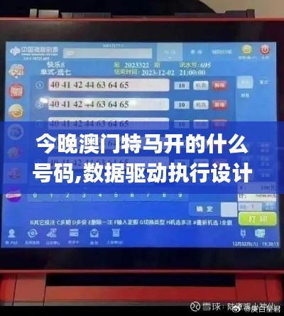 今晚澳门特马开的什么号码,数据驱动执行设计_XP19.372