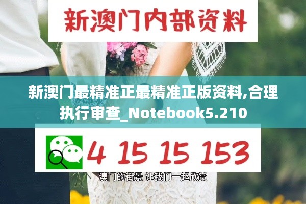 新澳门最精准正最精准正版资料,合理执行审查_Notebook5.210