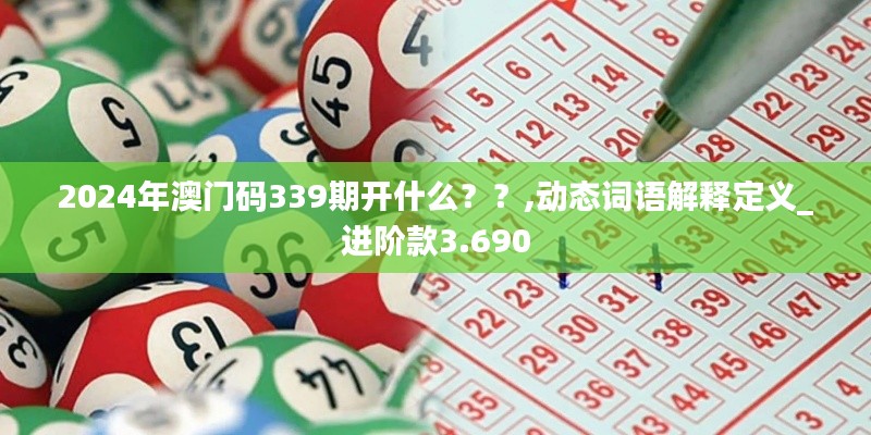 2024年澳门码339期开什么？？,动态词语解释定义_进阶款3.690