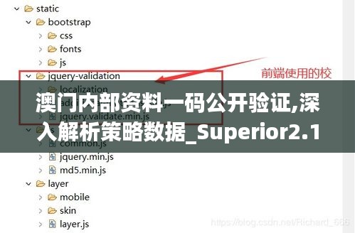 澳门内部资料一码公开验证,深入解析策略数据_Superior2.103