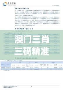 澳门三肖三码精准100%黄大仙,创新性执行策略规划_FHD版2.531