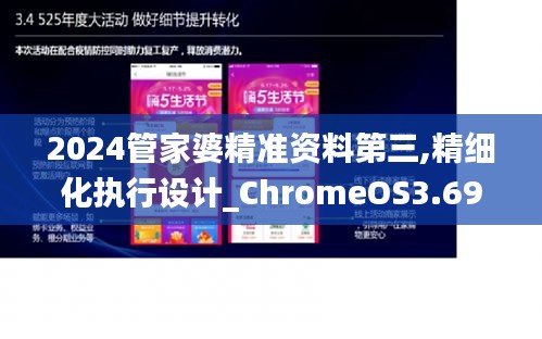 2024管家婆精准资料第三,精细化执行设计_ChromeOS3.694