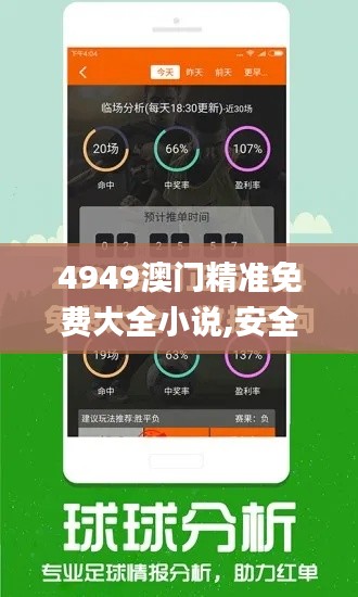 4949澳门精准免费大全小说,安全性计划解析_Gold1.893