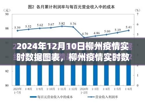 柳州疫情实时数据图表，科技之光助力疫情防控之路（2024年12月10日实时更新）