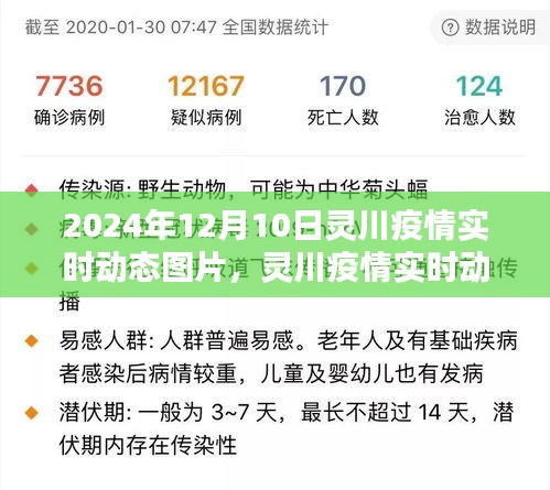 2024年12月10日灵川疫情实时动态回顾，影响与图片记录