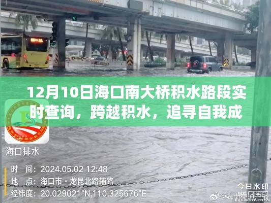 海口南大桥积水路段下的励志故事与自我成长探寻