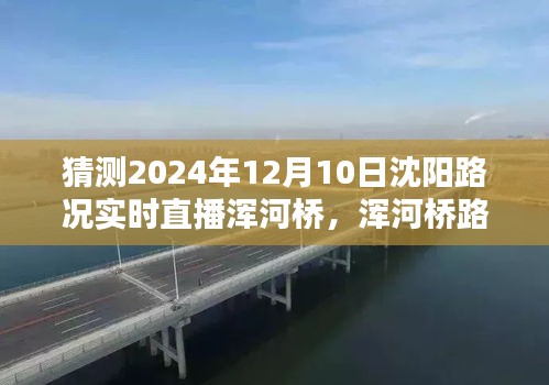 沈阳浑河桥路况实时直播预测与追踪，初学者与进阶用户指南