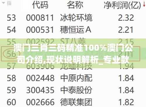 澳门三肖三码精准100%澳门公司介绍,现状说明解析_专业款9.970