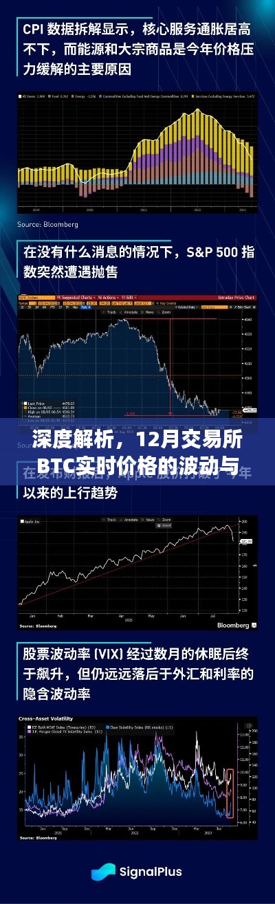 深度解析，交易所比特币实时价格波动与观点碰撞——十二月市场观察