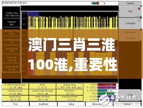 澳门三肖三淮100淮,重要性说明方法_pro5.746