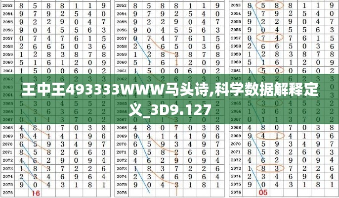 王中王493333WWW马头诗,科学数据解释定义_3D9.127