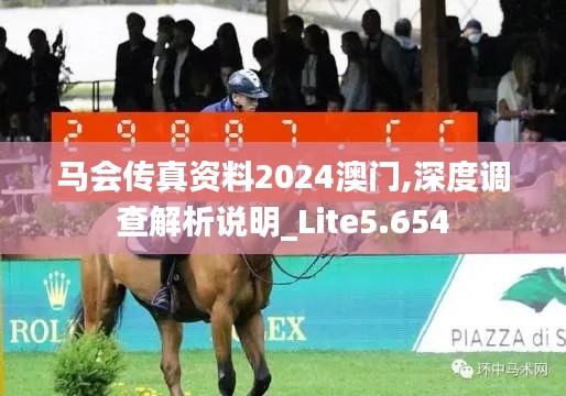 马会传真资料2024澳门,深度调查解析说明_Lite5.654