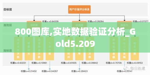 800图库,实地数据验证分析_Gold5.209